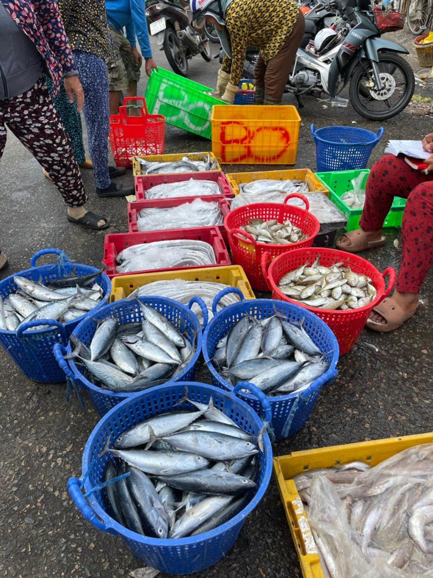 Duc Luu Quang Hotel Binh Thuan Tuy Phong 外观 照片
