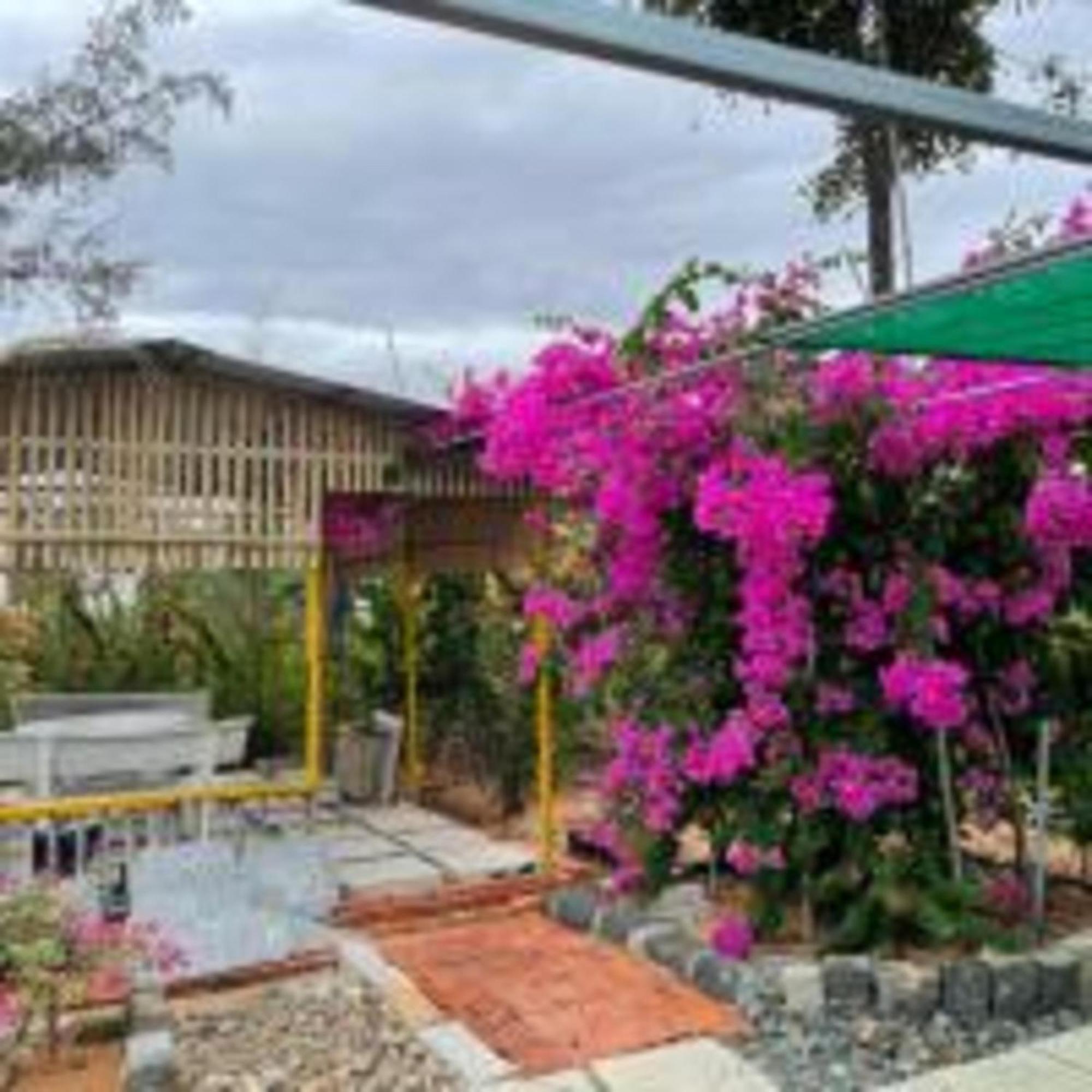 Duc Luu Quang Hotel Binh Thuan Tuy Phong 外观 照片