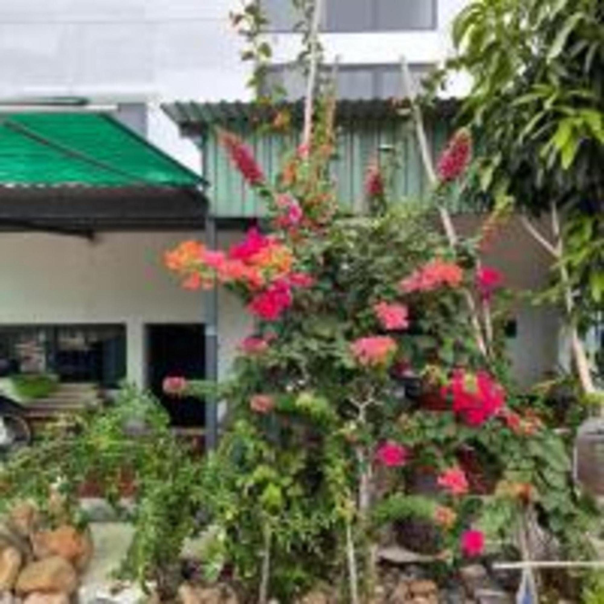 Duc Luu Quang Hotel Binh Thuan Tuy Phong 外观 照片