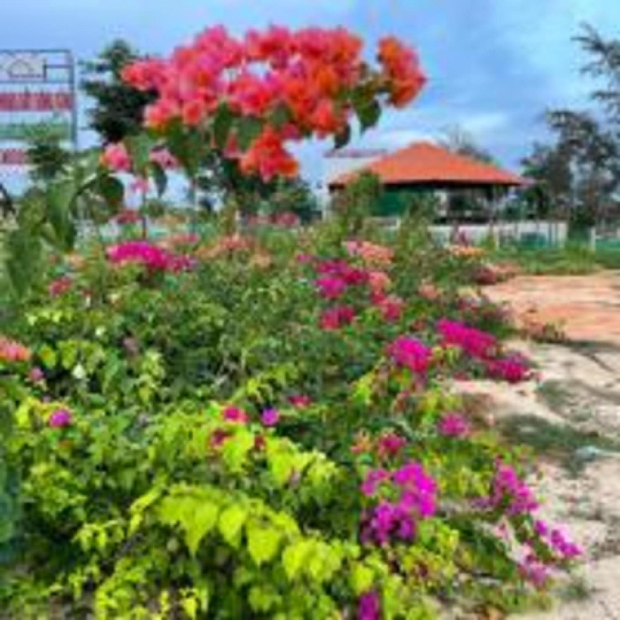 Duc Luu Quang Hotel Binh Thuan Tuy Phong 外观 照片