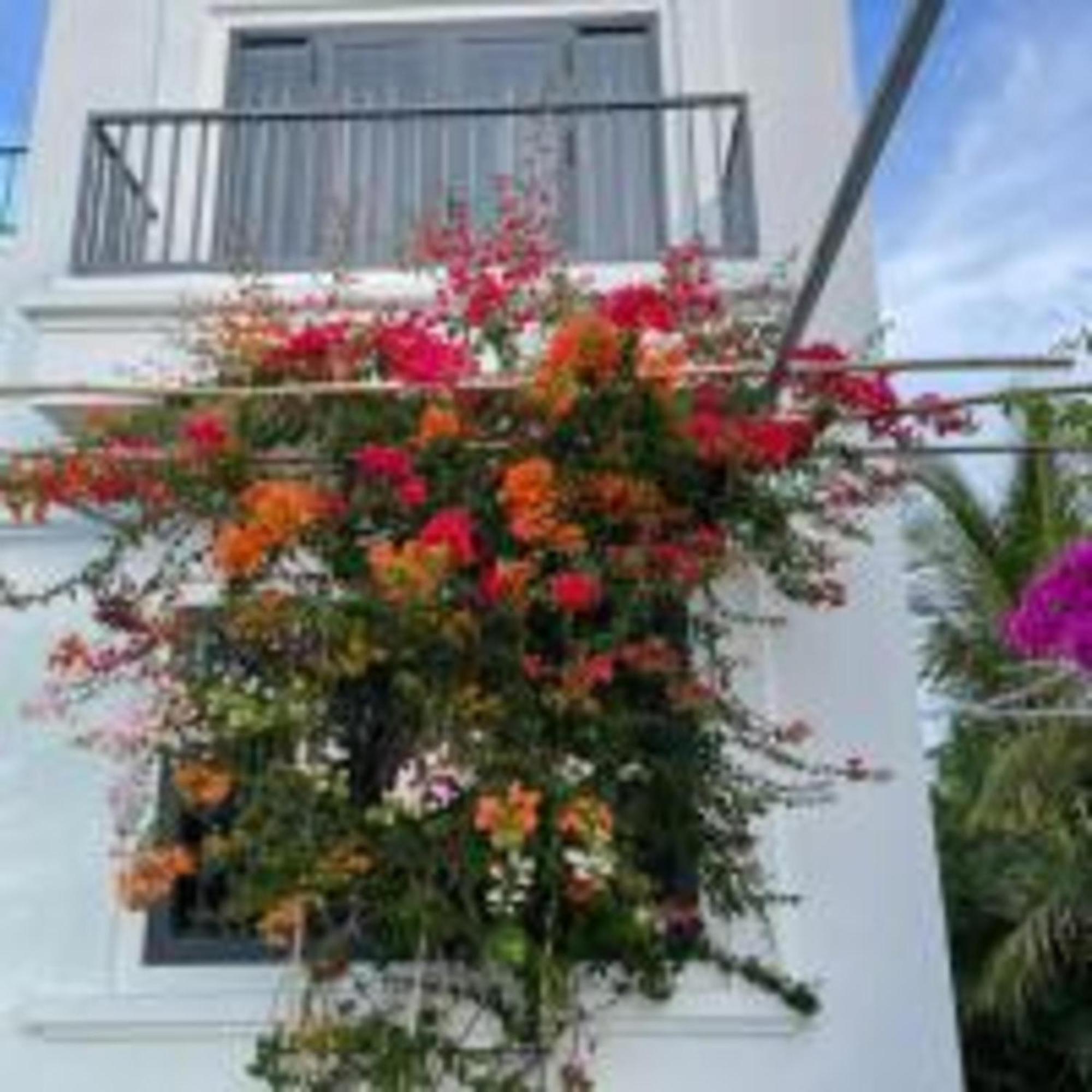 Duc Luu Quang Hotel Binh Thuan Tuy Phong 外观 照片
