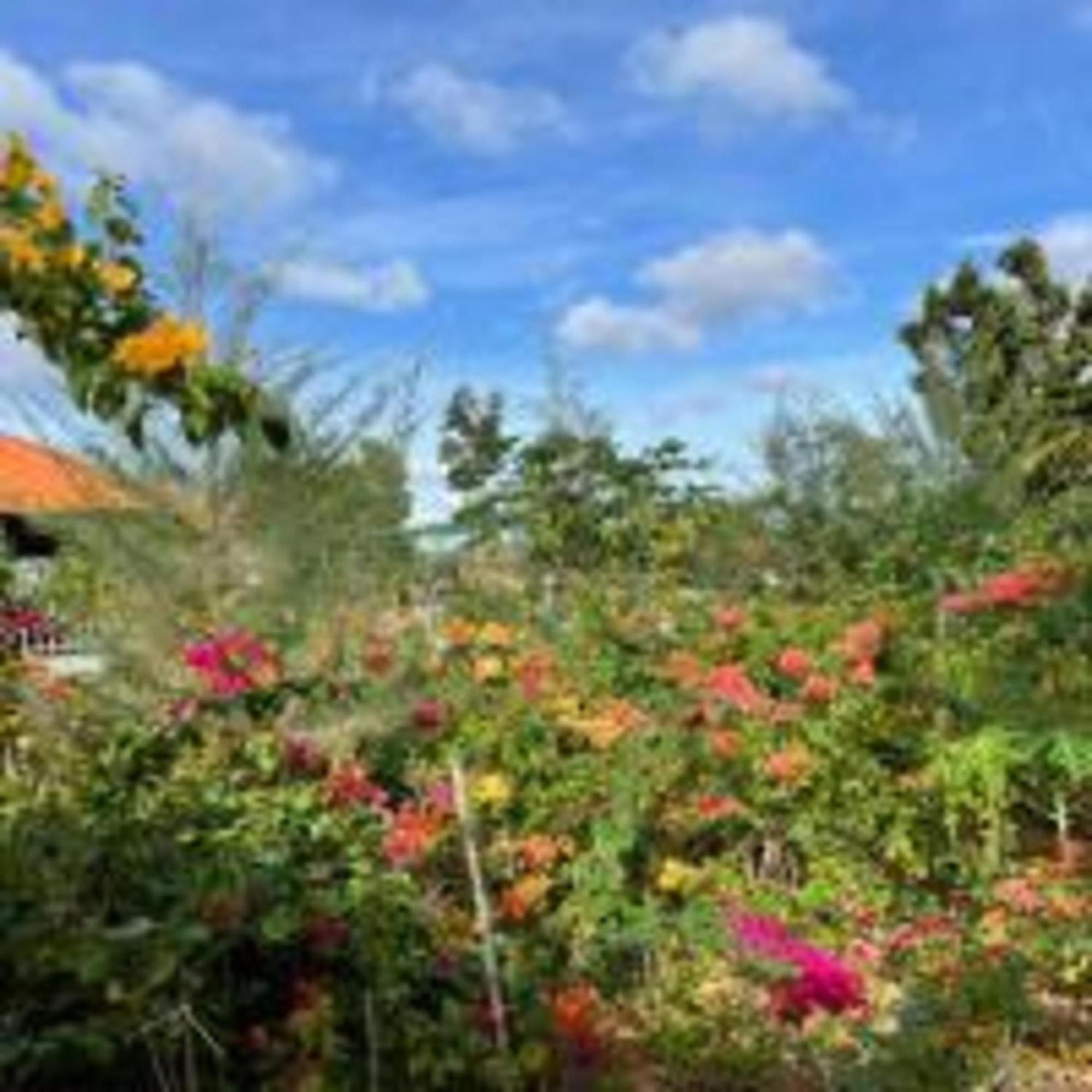 Duc Luu Quang Hotel Binh Thuan Tuy Phong 外观 照片