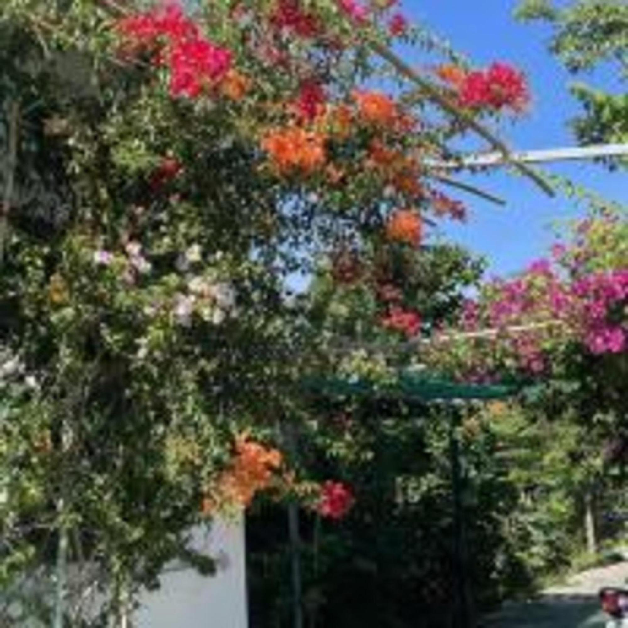 Duc Luu Quang Hotel Binh Thuan Tuy Phong 外观 照片